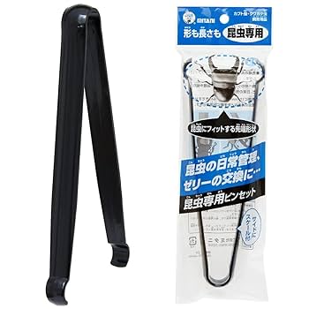 ※ikumatti購入野外標本２点セット ikumatti購入野外標本2点セット 楽天市場】昆虫 標本セットの通販